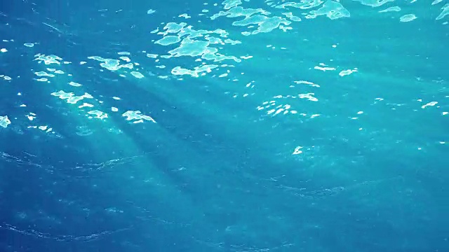 高质量的海浪动画从水下漂浮的浮游生物。光线照进来。伟大的流行海洋背景高清，高清晰度4k。视频素材画面3