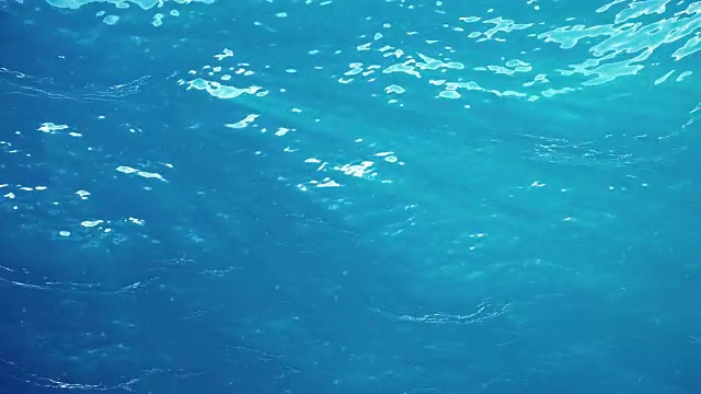 高质量的海浪动画从水下漂浮的浮游生物。光线照进来。伟大的流行海洋背景高清，高清晰度4k。视频素材画面4