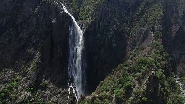 Wollomombi如果视频素材