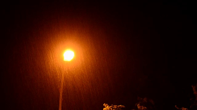 夜景街灯照亮了暴风雨中的降雨视频下载