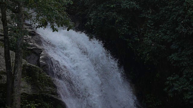 瀑布在森林中缓缓流淌视频素材