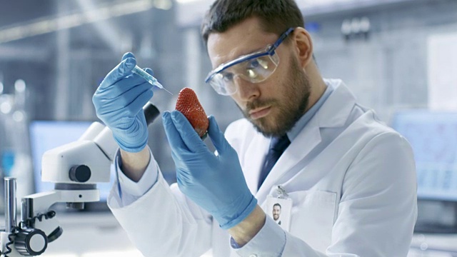 在一个现代实验室里，食品科学家用注射器注射草莓。他在研究这种产品的基因改造。视频素材画面1