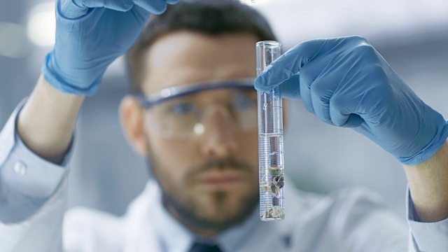 在一个现代实验室科学家通过在试管中使用滴管和植物合成化合物进行实验。视频素材画面2