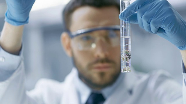 在一个现代实验室科学家通过在试管中使用滴管和植物合成化合物进行实验。视频素材画面3