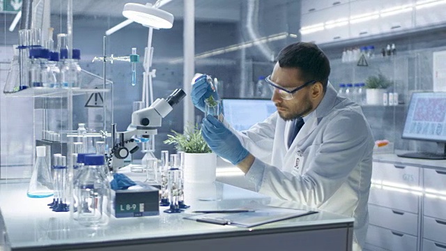在一个现代实验室研究科学家通过在试管中使用滴管和植物合成化合物进行实验。视频素材画面1