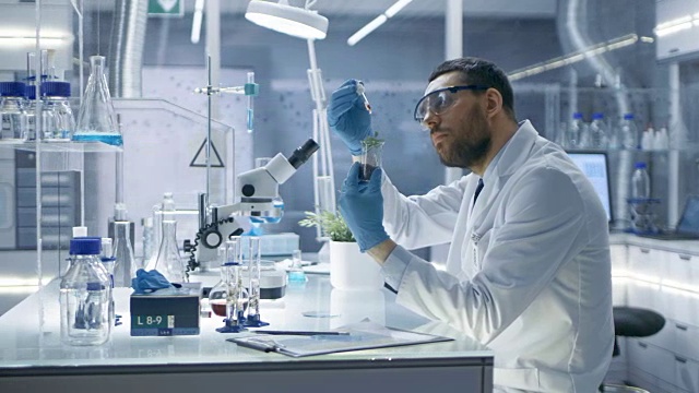 在一个现代实验室研究科学家通过在试管中使用滴管和植物合成化合物进行实验。视频素材画面3