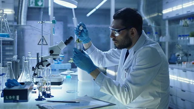 在现代实验室研究中，科学家用有机材料进行实验。他用吸管把肥料滴进装有植物的试管中。视频素材画面2