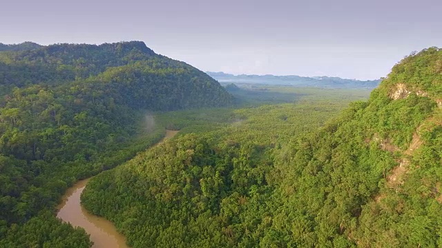 鸟瞰图:飞越河流红树林，视频素材