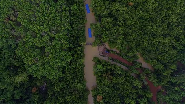 鸟瞰图:飞越河流红树林，视频素材