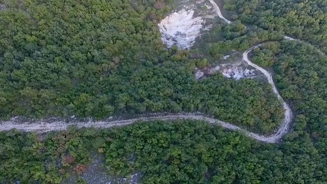 这两条路汇合在森林里视频素材