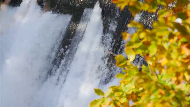 北海道Kinsenkyo峡谷秋叶视频素材