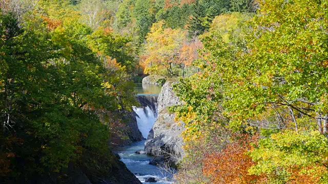 北海道近仙阁的秋天视频素材