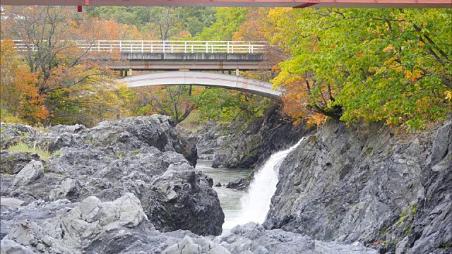 北海道近仙阁的秋天视频素材