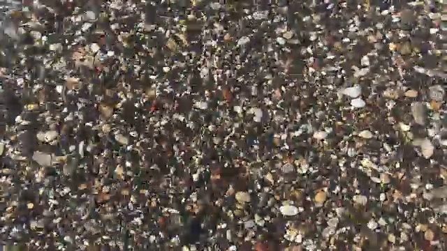 沙滩，加利西亚海滩和大海视频素材画面2