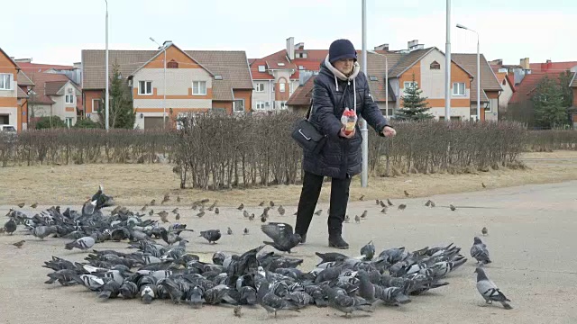 成年妇女正在喂鸽子和麻雀视频素材