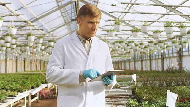 在工业温室中，穿着白大褂的农业工程师用平板电脑对植物进行健康检测和数据分析。视频素材画面1