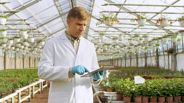 在工业温室中，穿着白大褂的农业工程师用平板电脑对植物进行健康检测和数据分析。视频素材画面3