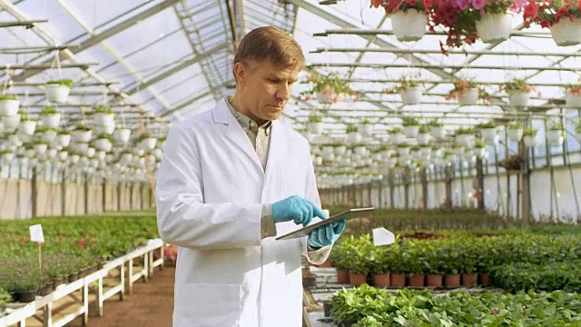 在工业温室中，穿着白大褂的农业工程师用平板电脑对植物进行健康检测和数据分析。视频素材画面4