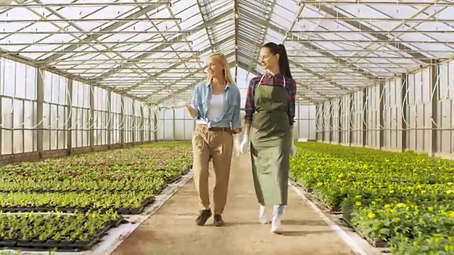 两名快乐的温室工人走过一排排五颜六色的鲜花和绿色蔬菜。他们对自己种植的有机食品微笑并感到高兴。视频素材画面1