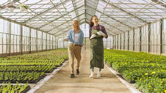 两名快乐的温室工人走过一排排五颜六色的鲜花和绿色蔬菜。他们对自己种植的有机食品微笑并感到高兴。视频素材画面2