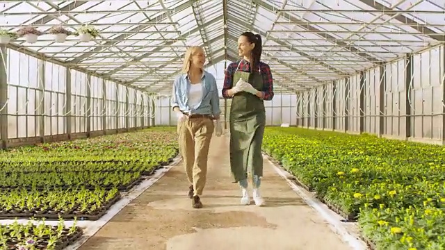 两名快乐的温室工人走过一排排五颜六色的鲜花和绿色蔬菜。他们对自己种植的有机食品微笑并感到高兴。视频素材画面3
