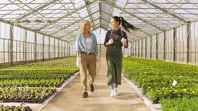 两名快乐的温室工人走过一排排五颜六色的鲜花和绿色蔬菜。他们对自己种植的有机食品微笑并感到高兴。视频素材画面4