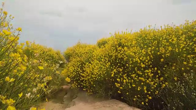 在阳光明媚的夏日里，漫步在火山的伊奥利亚岛上，地中海海景视频素材