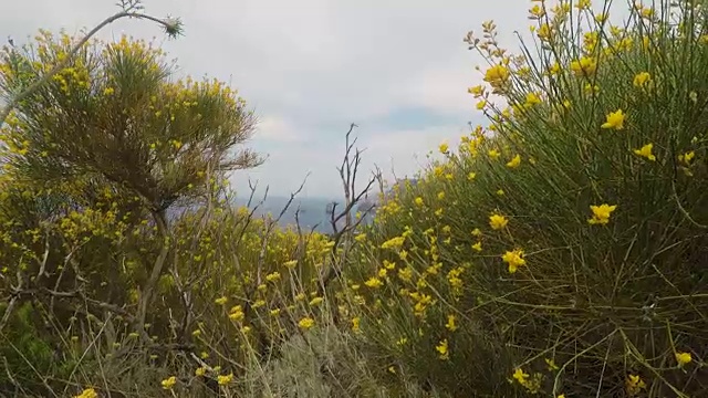 在阳光明媚的夏日里，漫步在火山的伊奥利亚岛上，地中海海景视频素材