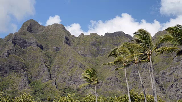 热带山区视频下载