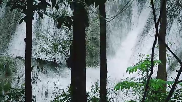 森林中的热带瀑布视频素材