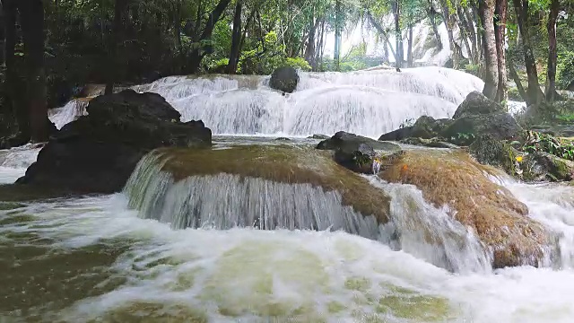 森林中的热带瀑布视频素材