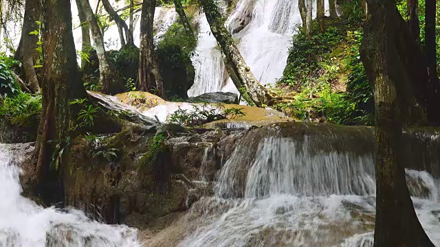 泰国森林深处的瀑布视频素材