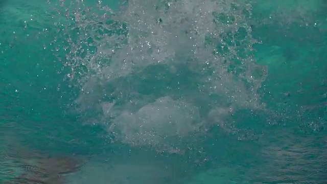 一只年轻的成年雄海豚以慢动作跳入水池。视频素材画面1
