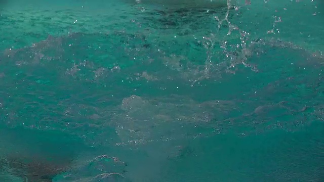 一只年轻的成年雄海豚以慢动作跳入水池。视频素材画面2