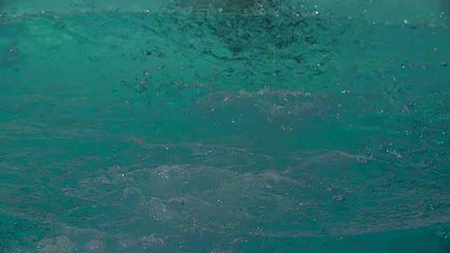 一只年轻的成年雄海豚以慢动作跳入水池。视频素材画面3