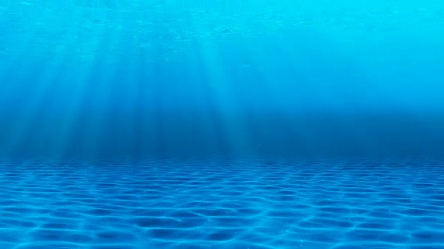 水下sceen。看看我的其他水下和海景动画视频素材画面1