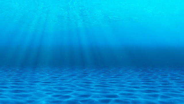 水下sceen。看看我的其他水下和海景动画视频素材画面2