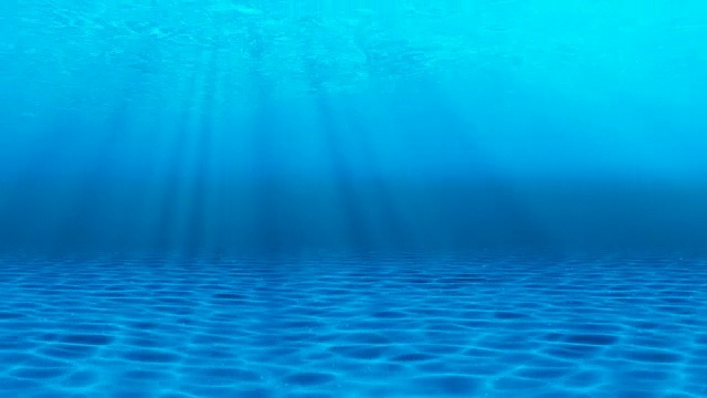 水下sceen。看看我的其他水下和海景动画视频素材画面3