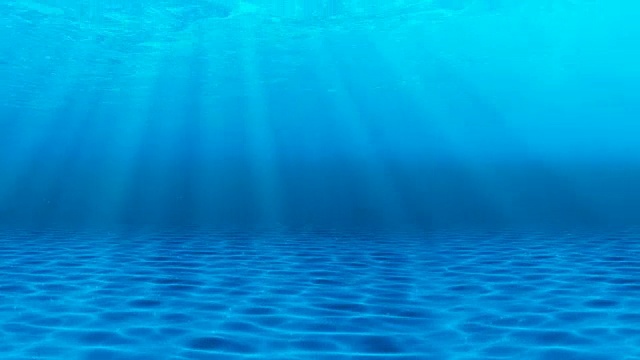 水下sceen。看看我的其他水下和海景动画视频素材画面4