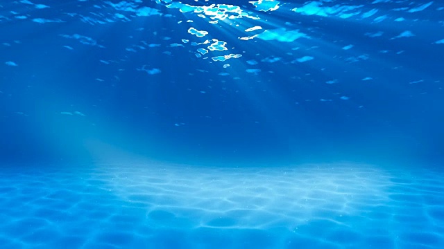 水下sceen。看看我的其他水下和海景动画视频素材画面1