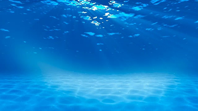 水下sceen。看看我的其他水下和海景动画视频素材画面2