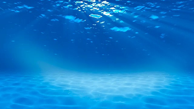 水下sceen。看看我的其他水下和海景动画视频素材画面3