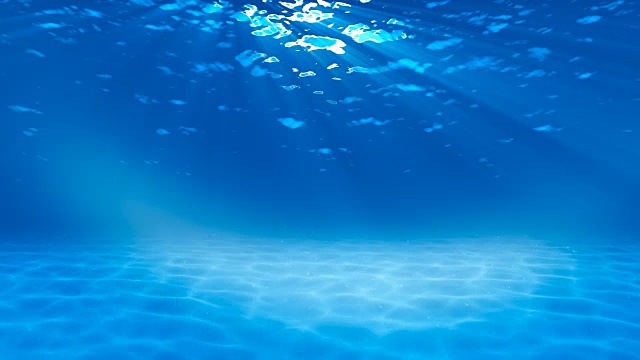 水下sceen。看看我的其他水下和海景动画视频素材画面4