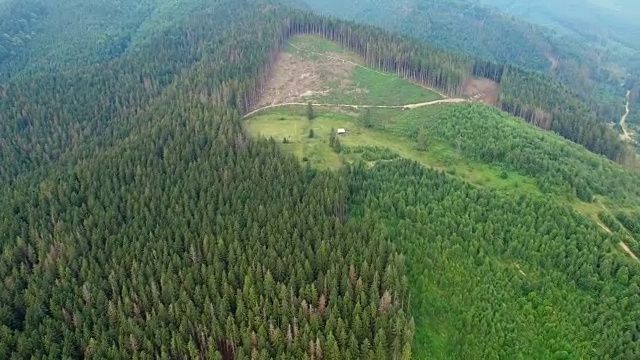 森林砍伐。无人机拍摄的乌克兰喀尔巴阡森林视频素材