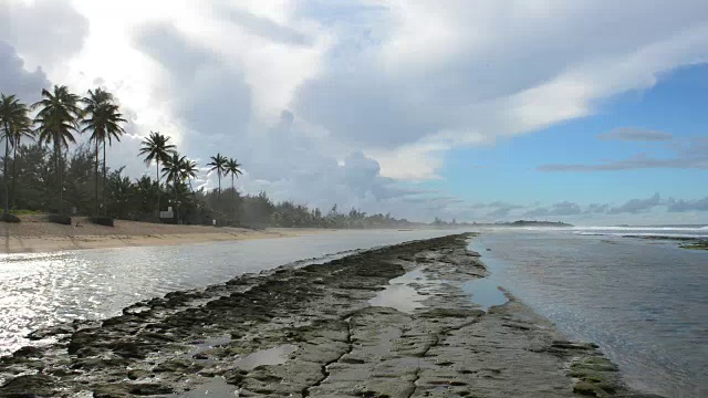 岛屿、大海、天空和棕榈树视频下载