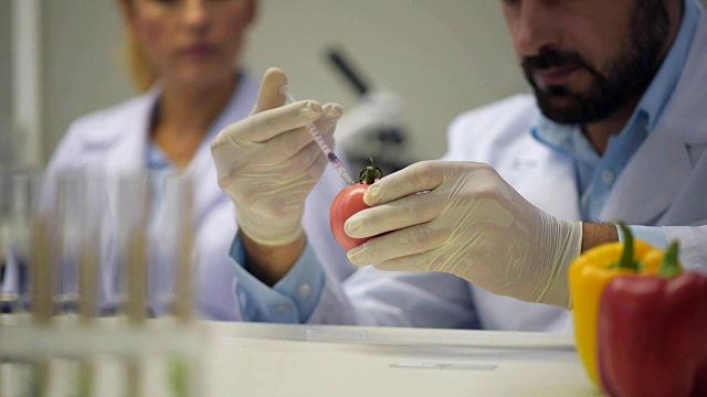 男性研究人员注射化学液体到番茄近距离视频素材画面1