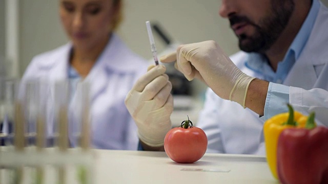 男性研究人员注射化学液体到番茄近距离视频素材画面2
