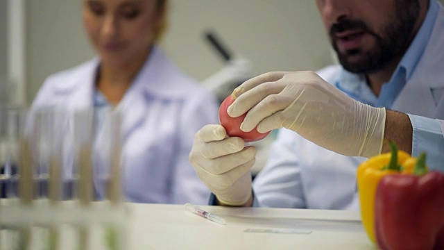 男性研究人员注射化学液体到番茄近距离视频素材画面3