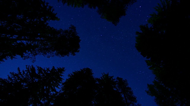 星空旋转时空流逝，高山松林视频素材