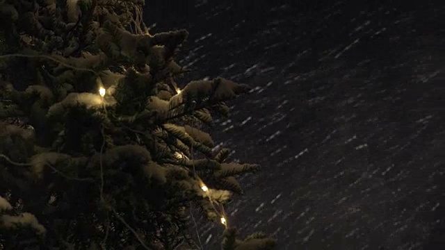 暴风雪和圣诞树的夜晚视频素材画面1